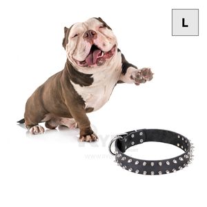 Collar Seguro y Comodo para Perro Negro Talla L Y+Stickers