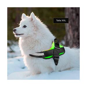Pechera de Proteccion Dog en Verde XXL Y+Stickers