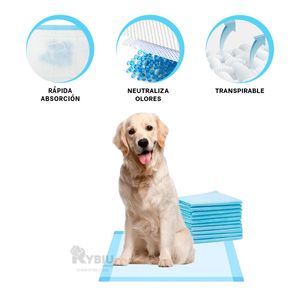 Pañal Protector de Piso Pet 60x60 Talla L Y+Regalo Agendita