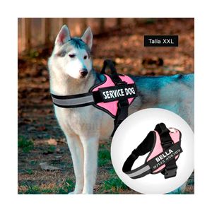 Pechera de Paseo Pet en Rosado XXL Y+Papel de Regalo