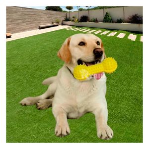 Juguete en Forma de Pesa Canino Amarillo Y+Papel de Regalo