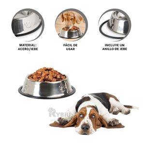 Plato Antidezlizante en Talla M 22 cm Y+Papel de Regalo