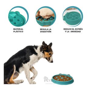 Plato Desestresante de Ranita Pet Verde Y+Papel de Regalo