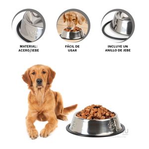 Plato de Base Antidezlizante en Talla L Y+Papel de Regalo