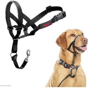 HALTI - Collar antitirones ajustable y reflectante para perros medianos