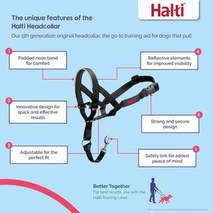 HALTI - Collar antitirones ajustable y reflectante para perros medianos