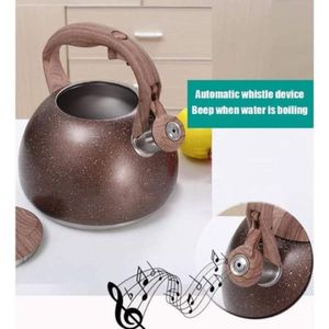 Tetera Silbadora en Roca Volcánica 5 Litros Marrón