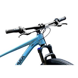 Bicicleta Monark Para Hombre Aro 29 M Canyon Htx Azul