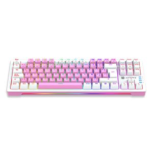 Teclado Mecánico Antryx MK840 Usb Led RGB Rosa