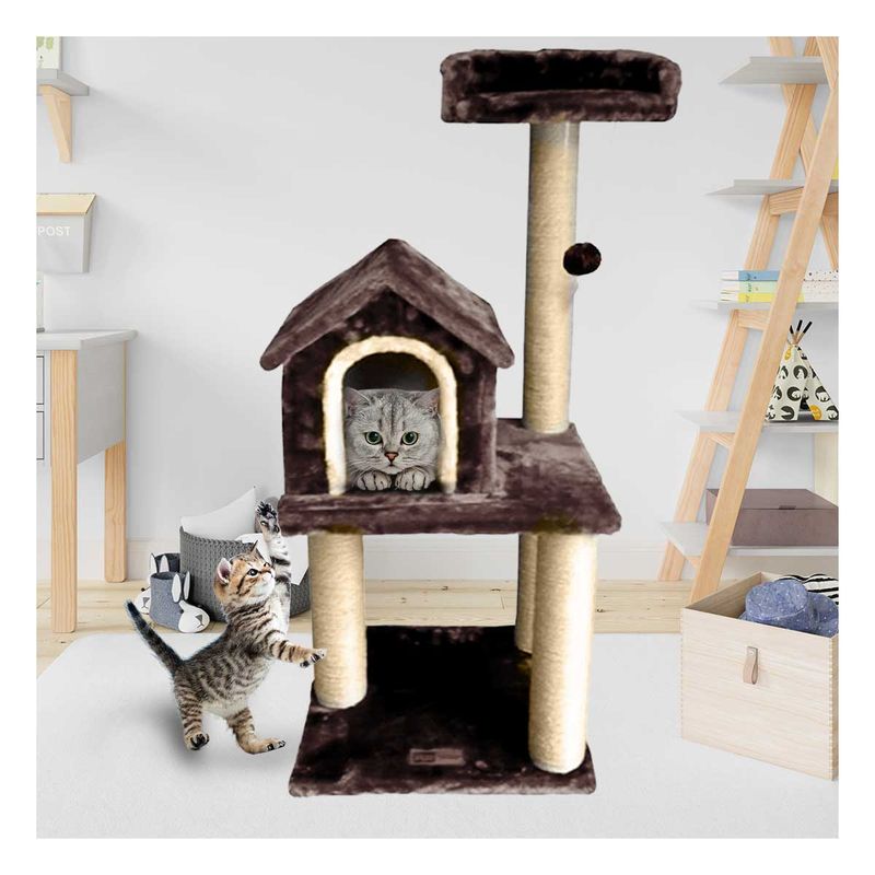 imageUrl_1