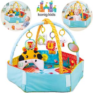 Gimnasio Corral 5 En 1 Musical Konig Kids 63599