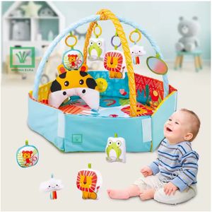 Gimnasio Corral 5 En 1 Musical Konig Kids 63599
