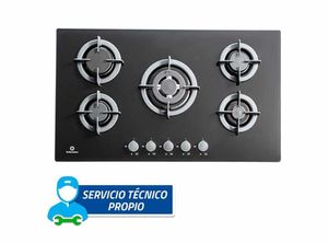 Encimera Gas Indurama 5 Inductores Egi905Vdneg