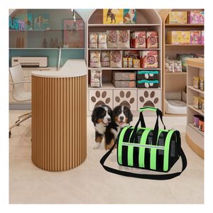 Transportador Compacta de Mascotas Verde Y+Papel de Regalo