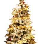 imageUrl_8