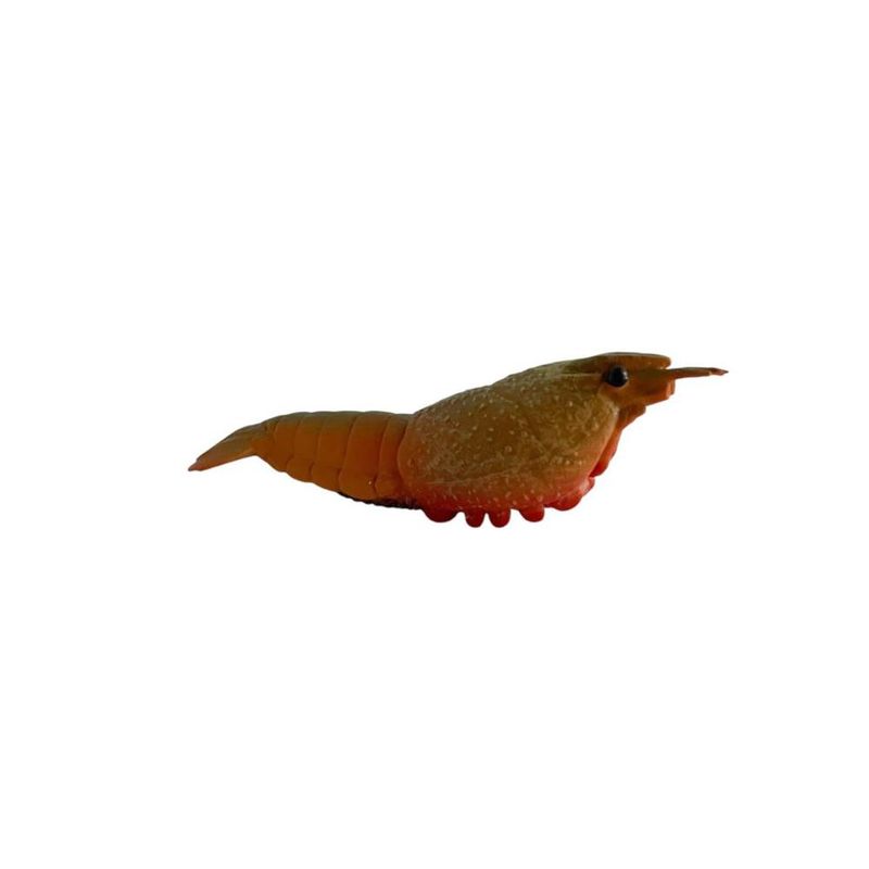 image-b02f91eed4b24ad085065906eb4c0b10