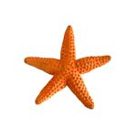 image-9b5b34f5b0ce4fc5af87a298979490b7