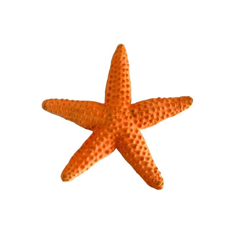 image-9b5b34f5b0ce4fc5af87a298979490b7