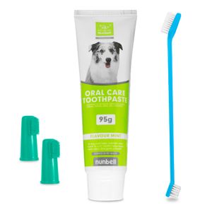 Kit Cepillo + Pasta de Dientes para Perros Turquesa NB0