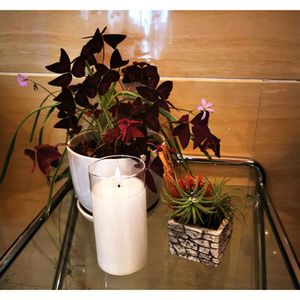 Vela Blanca Led 7.5X15Cm