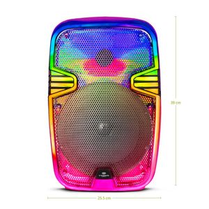 Parlante Portátil Eversound EV1001 8"