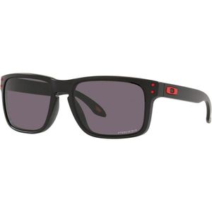 Gafas Oakley Holbrook con lentes Plutonite y diseño clásico