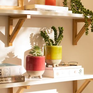 Maceta Cerámica con Soporte