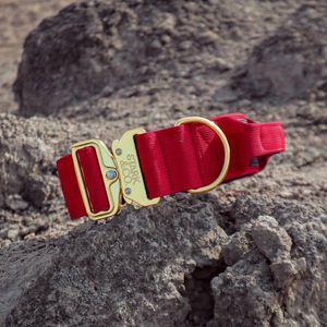 Collar Stark & Co Warrior City 5 cm Red