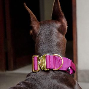 Collar Stark & Co Warrior City 5 cm Fuchsia