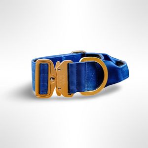 Collar Stark & Co Warrior Light 5 cm Blue
