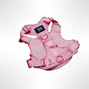 Arnes Stark & Co Tactical Rose