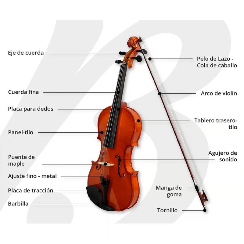 imageUrl_5