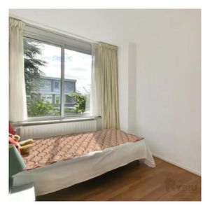 Colchon Ortopedico para Descanso en Beige Y+Papel de Regalo