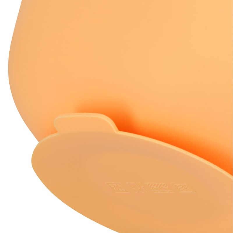 image-c603d1d63f0c4c3985f94567d257c099