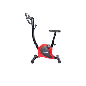 Bicicleta Estacionaria Gym Master gm98458