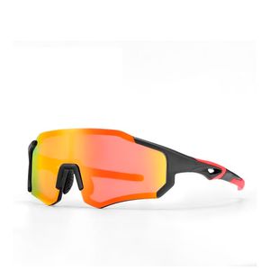 Lentes Polarizados 10182 Rockbros