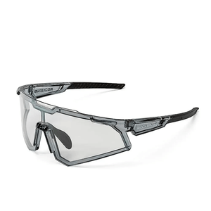 Lentes Fotocromáticos SP291BK Rockbros