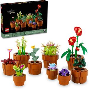 Juego De Construcción Lego 6465042 9 Plantas