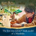 imageUrl_2