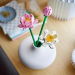 imageUrl_6