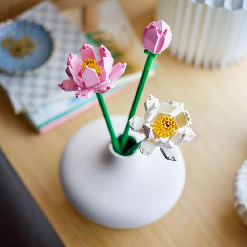 imageUrl_6