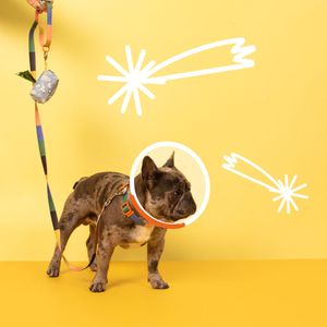 Bolso Contenedor para Aseo de Mascotas
