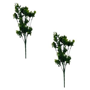 Pack de 2 Ramas de Ruda 00123