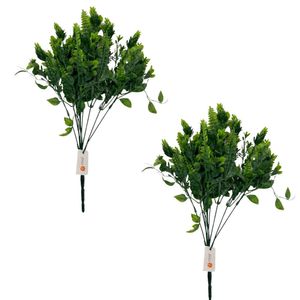 Pack de 2 Ramas de Hojas de Sophorae 00128 FLORIPASTORE