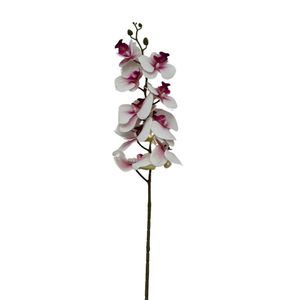 Orquidea Artificial con 9 Pétalos Silicona BG310035-7MO FLORIPASTORE