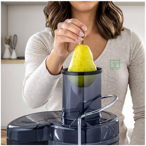 Extractor de Jugos 600W Acero FPSTJE320S