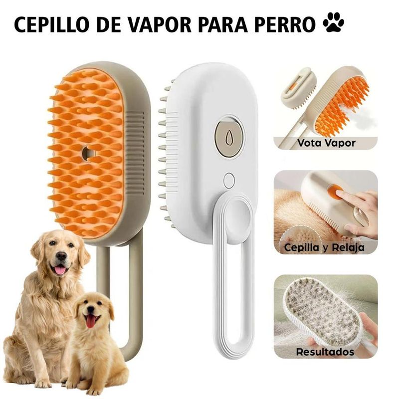 image-d747c78ecbe745f782a5f4f8da7f6ae6