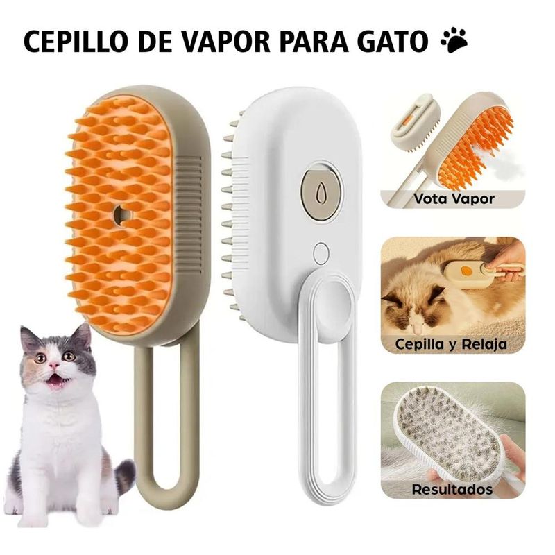image-0b4f0f3546194dc8a9ed8ffb55a5f57f