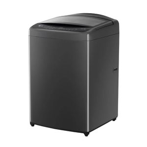Lavadora LG con AI DD 17 Kg WT17BV6T