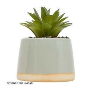 Planta Be Vintage 12cm + Maceta Cerámica Atmosphera